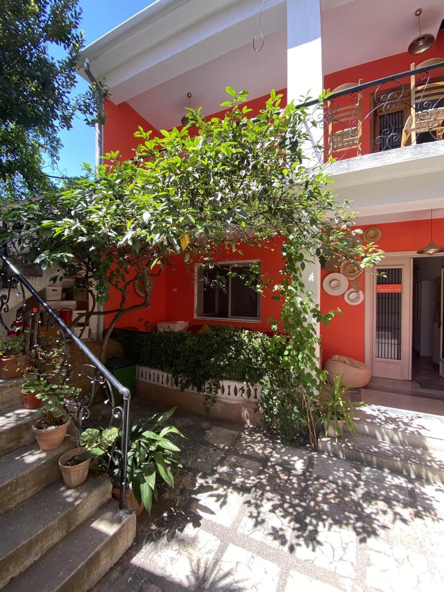 Trip'N'Hostel Chill Zone Tirana Exteriör bild